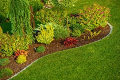 5 curb appeal landscaping tips to add value to your home